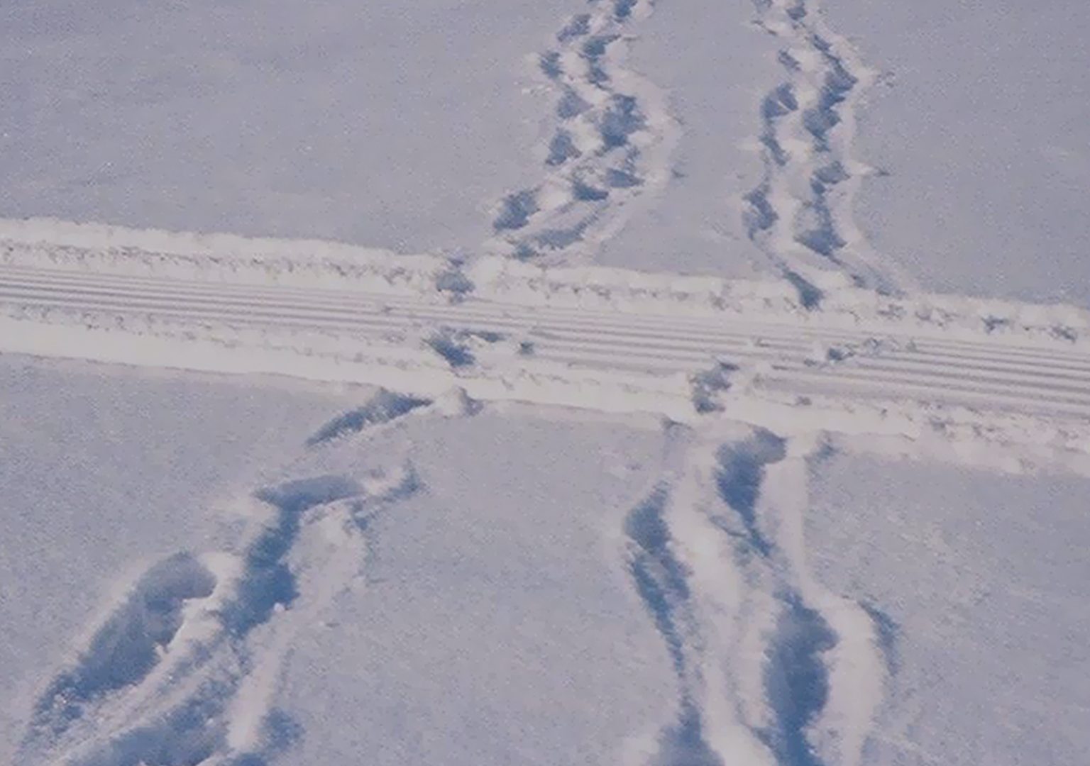 Two sets of footprints recede into background over frozen, snow-covered lake while people can be seen far in the distance